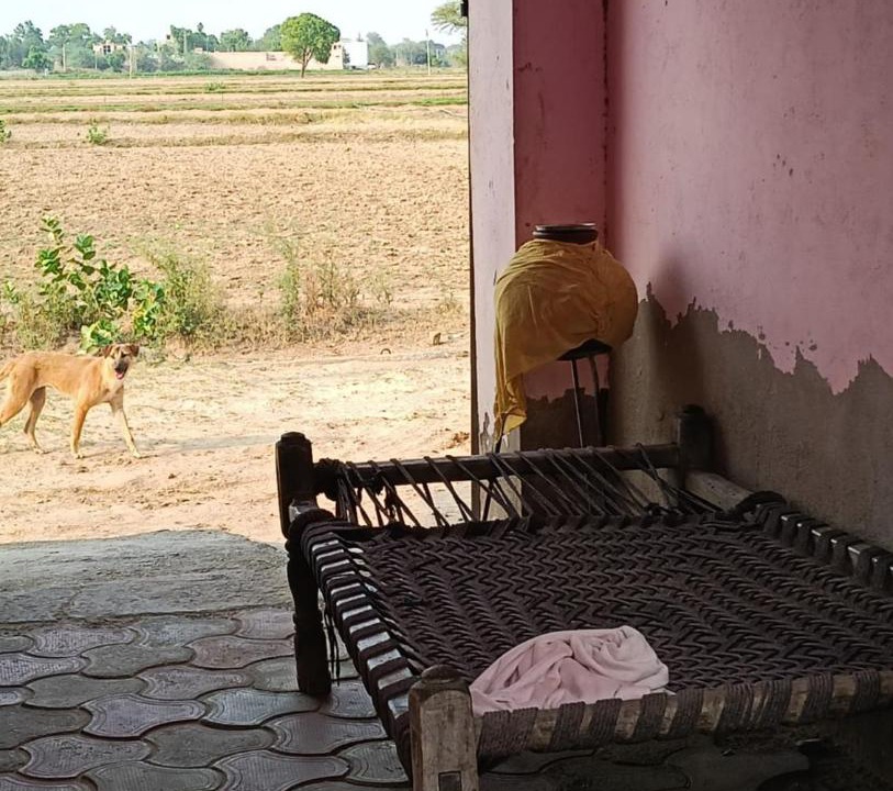 Photo of Others in Kishangarh Bas