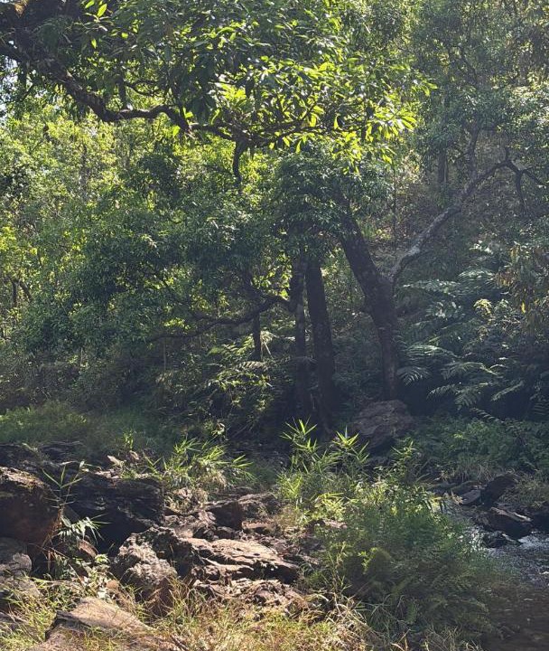 Photo of Others in Pachmarhi