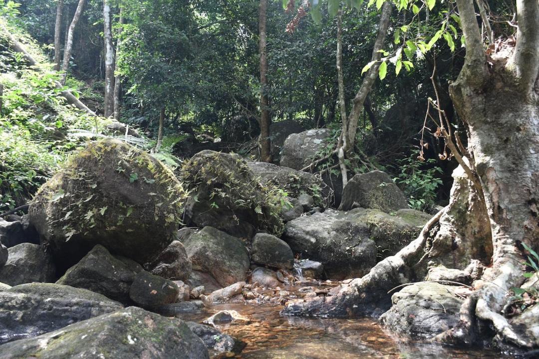 Photo of Others in Elappara