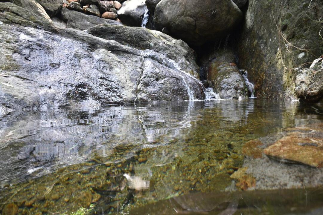 Photo of Others in Elappara
