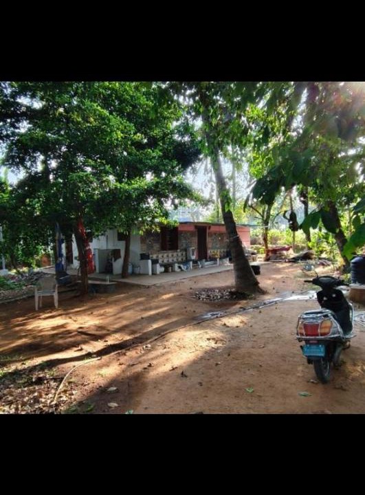 Photo of Others in Pollachi