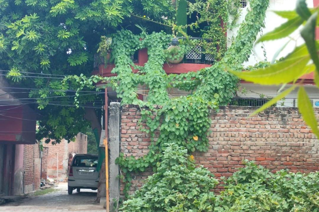 Photo of Others in Mathura