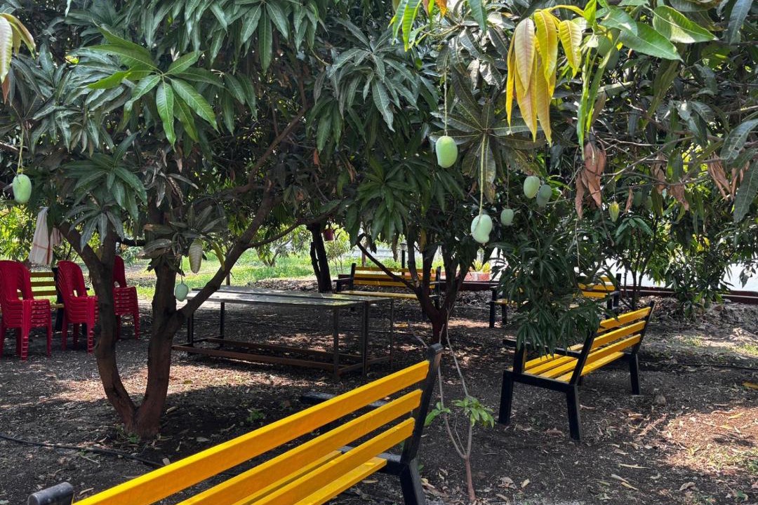 Photo of Outdoor in Mangalwedha