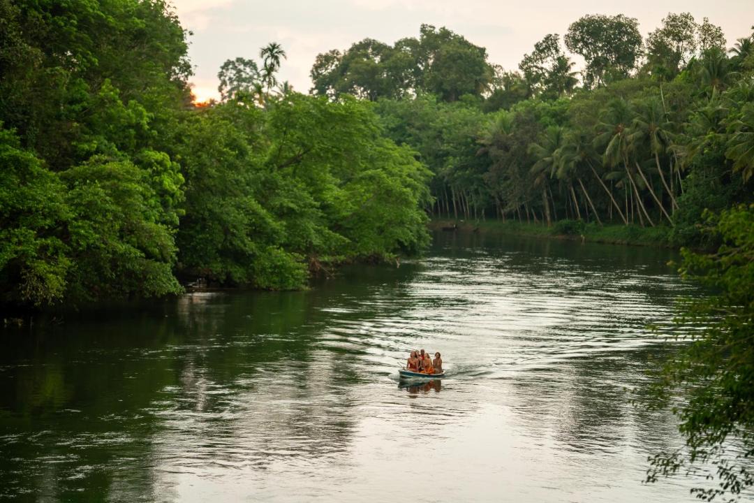 Photo of Others in Muvattupuzha