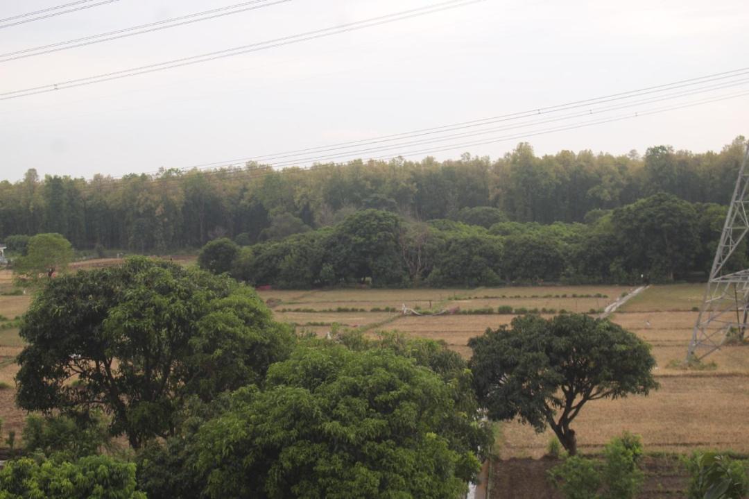 Photo of Others in Dehradun