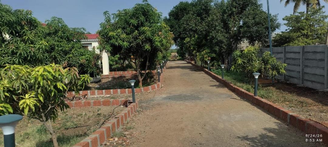 Photo of Others in Mangalwedha