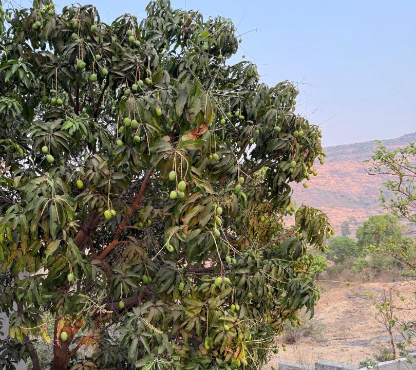 Photo of Others in Wadgaon