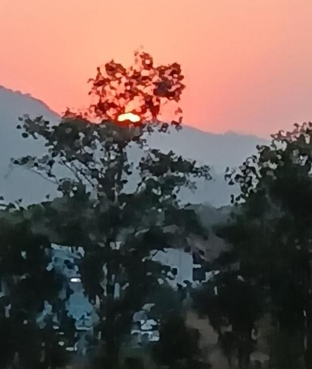 Photo of Others in Malavli