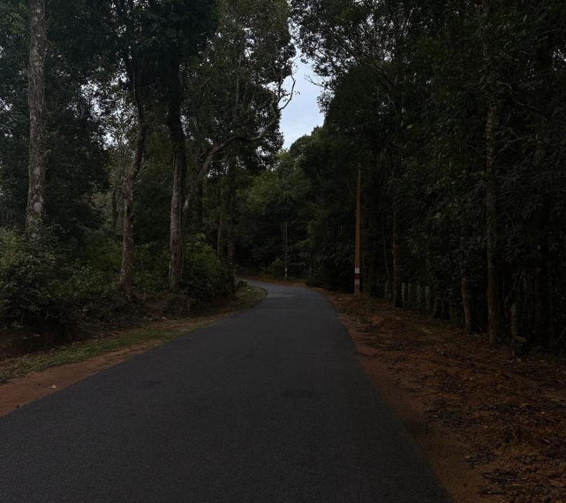 Photo of Outdoor in Tirthalli