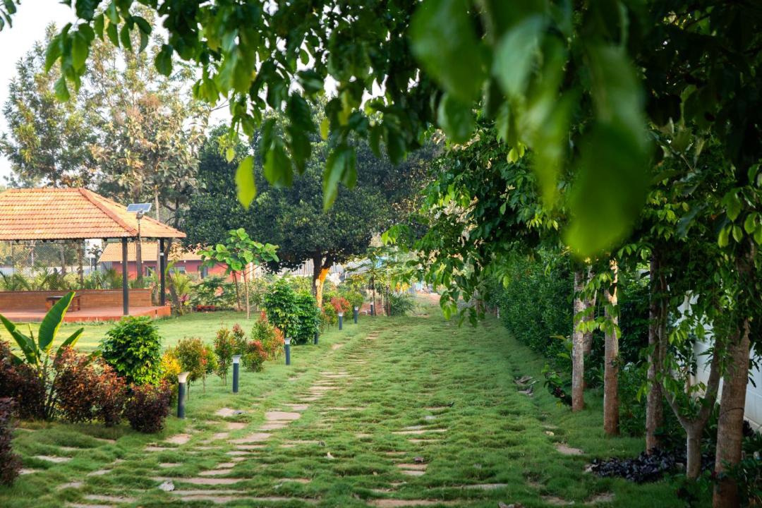 Photo of Others in India
