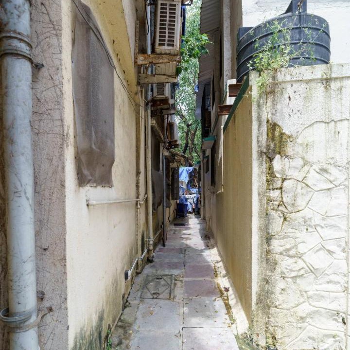 Photo of Others in Pali Hill