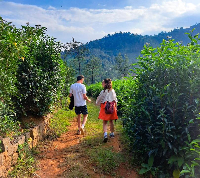 Photo of Others in Coonoor
