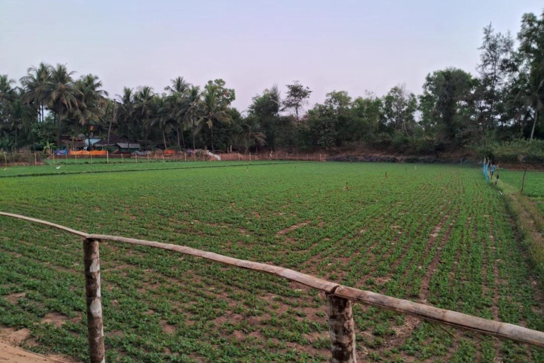 Photo of Others in Hireguthi