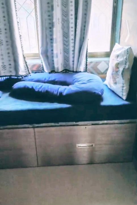 Photo of Bedroom in Murud
