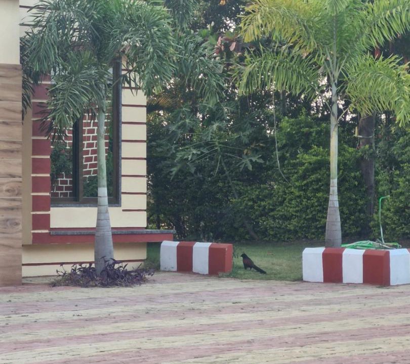 Photo of Others in Fardapur