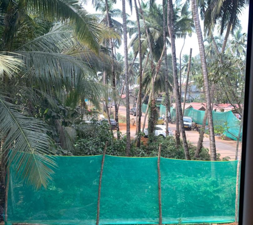 Photo of Others in Agonda