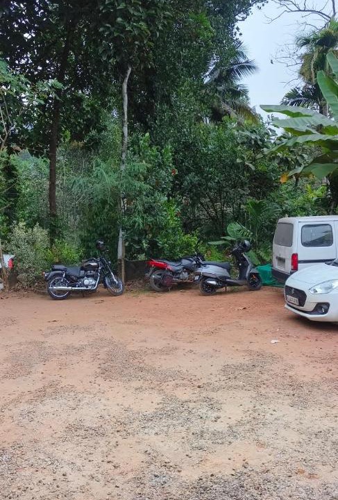Photo of Others in Todupulai