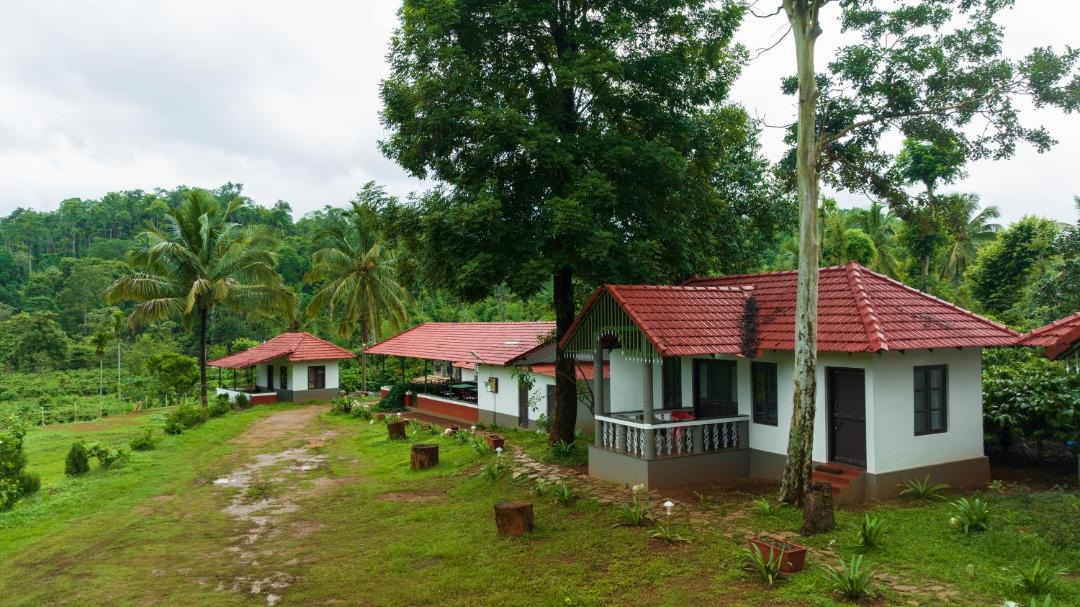Photo of Others in Chikkamagaluru