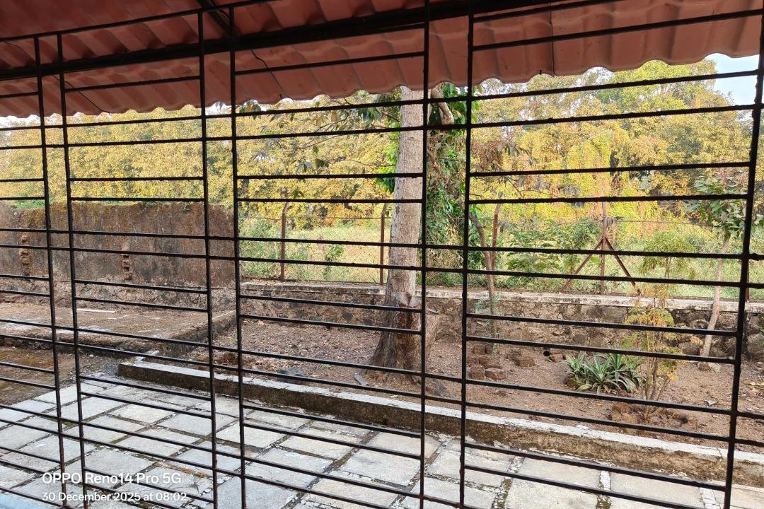 Photo of Patio Balcony in Lonavala