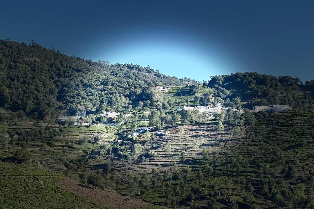Photo of Others in Kotagiri
