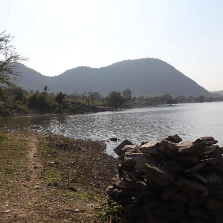 Photo of Others in Nathdwara