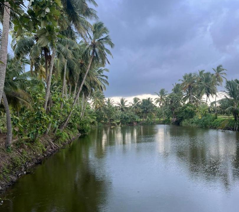 Photo of Others in Chittur