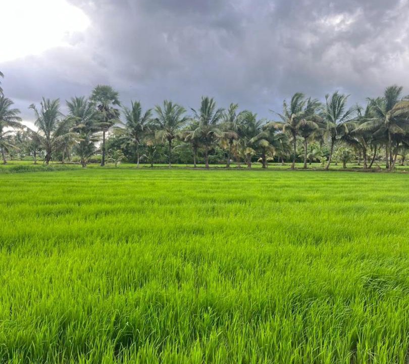 Photo of Others in Chittur
