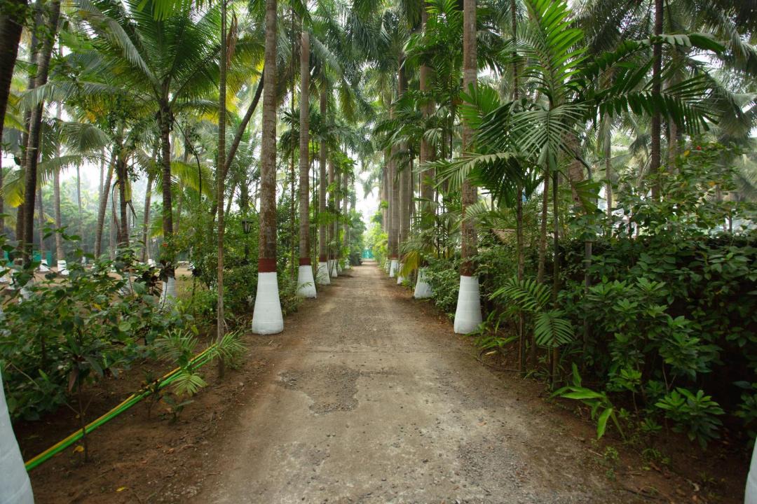 Photo of Others in Nagaon