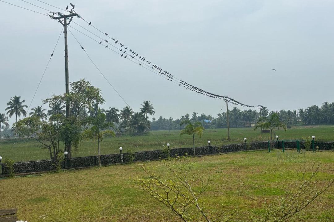 Photo of Others in Andhakaranazhy