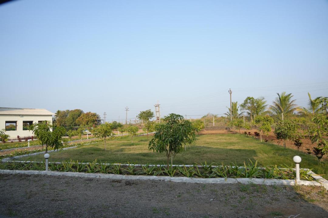 Photo of Others in Haripur