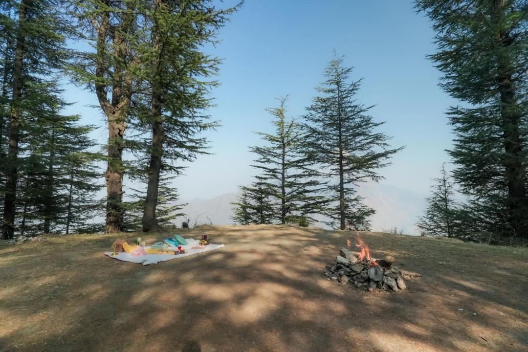 Photo of Others in Naldehra