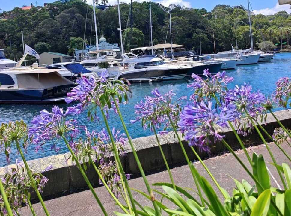 Photo of Others in Mosman