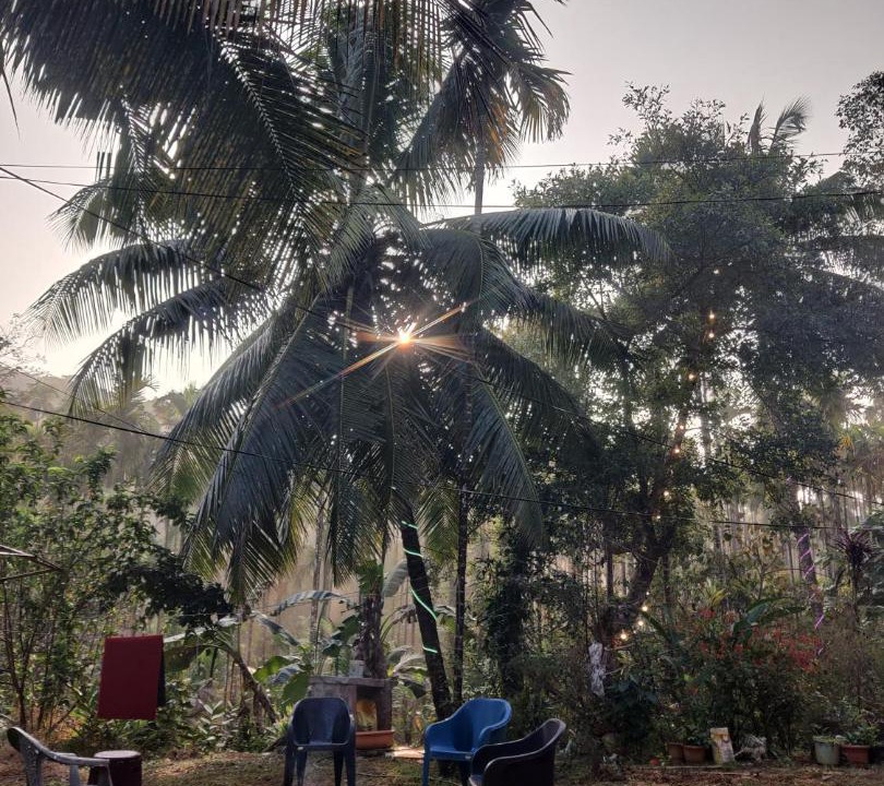 Photo of Outdoor in Harigar