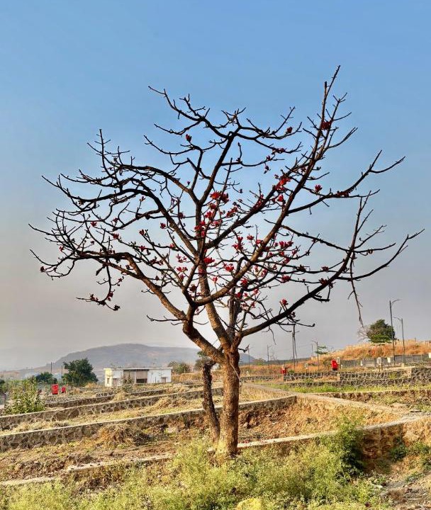 Photo of Others in Wadgaon