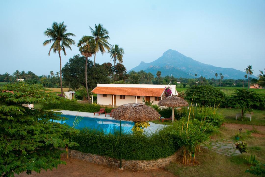 Photo of Others in Tiruvannamalai