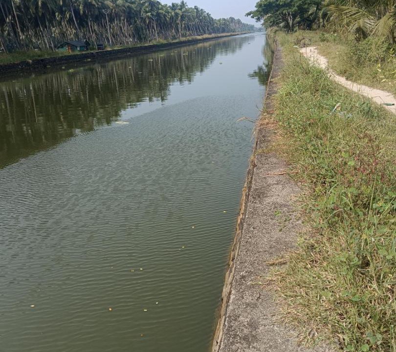 Photo of Others in Tirur
