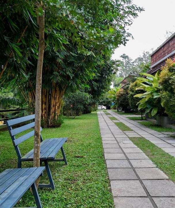 Photo of Outdoor in Panamaram