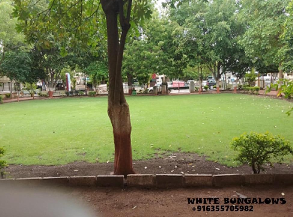 Photo of Others in Rajkot