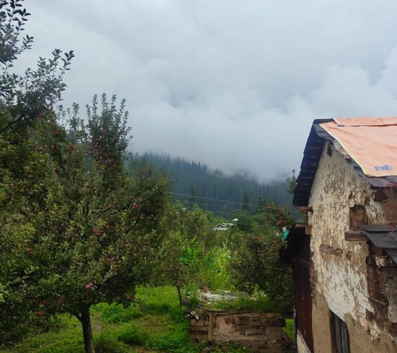 Photo of Others in Kullu