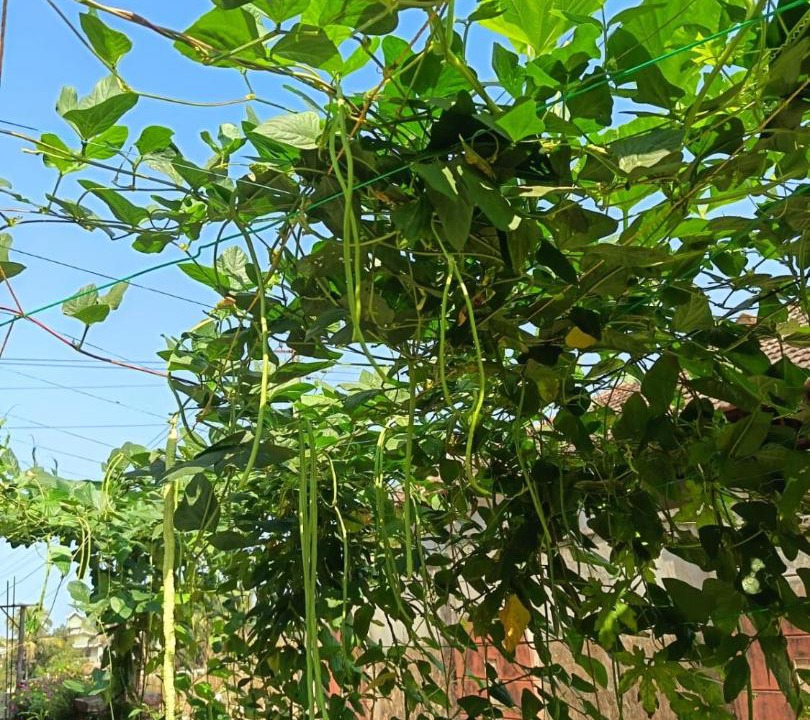 Photo of Outdoor in Mangalore