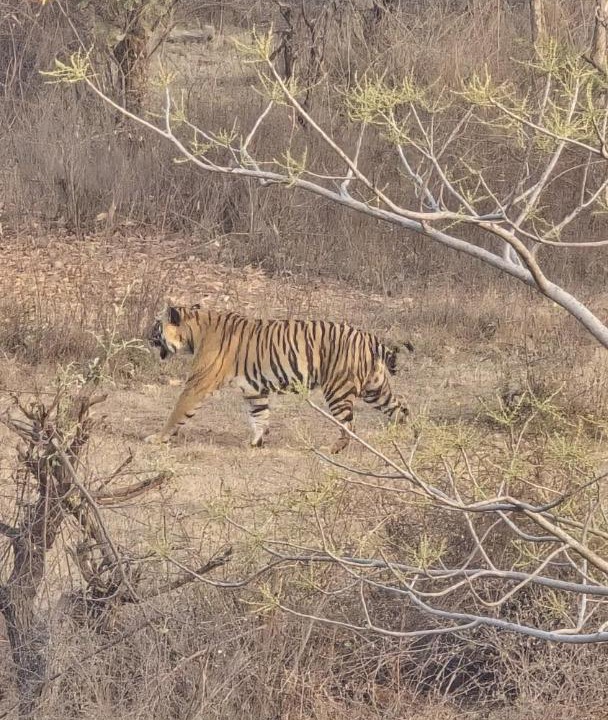 Photo of Others in Khajuraho