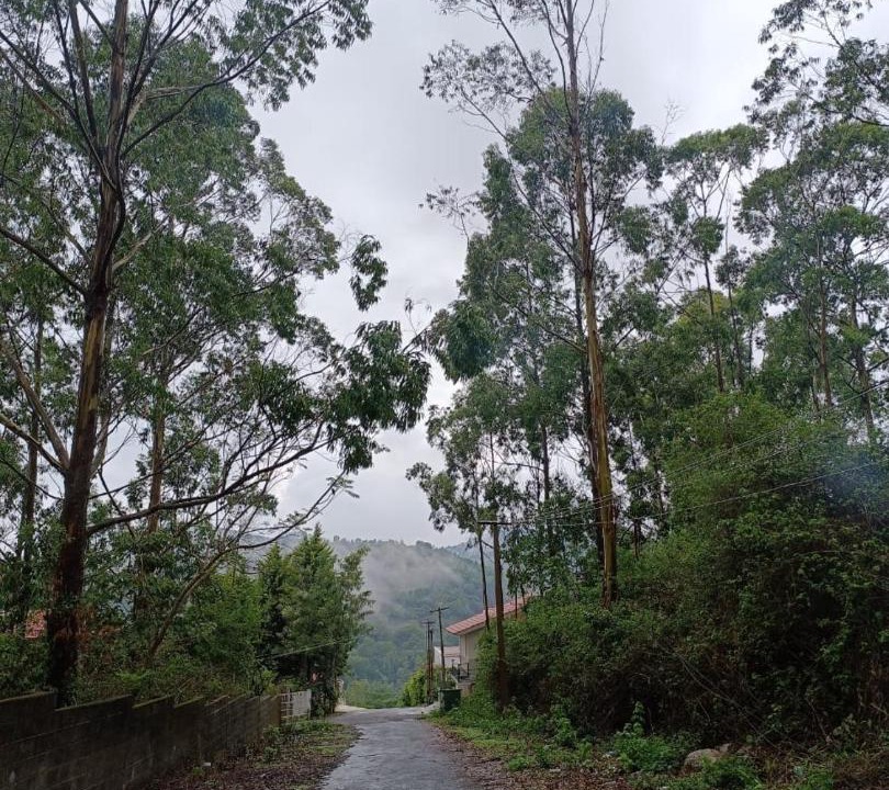Photo of Outdoor in Yercaud