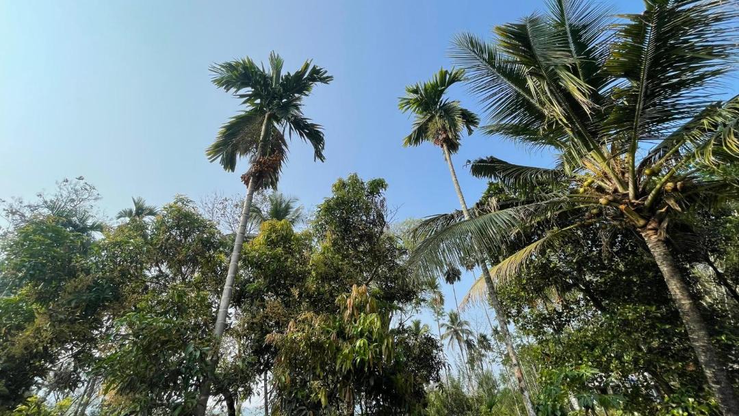 Photo of Outdoor in Irinjalakuda