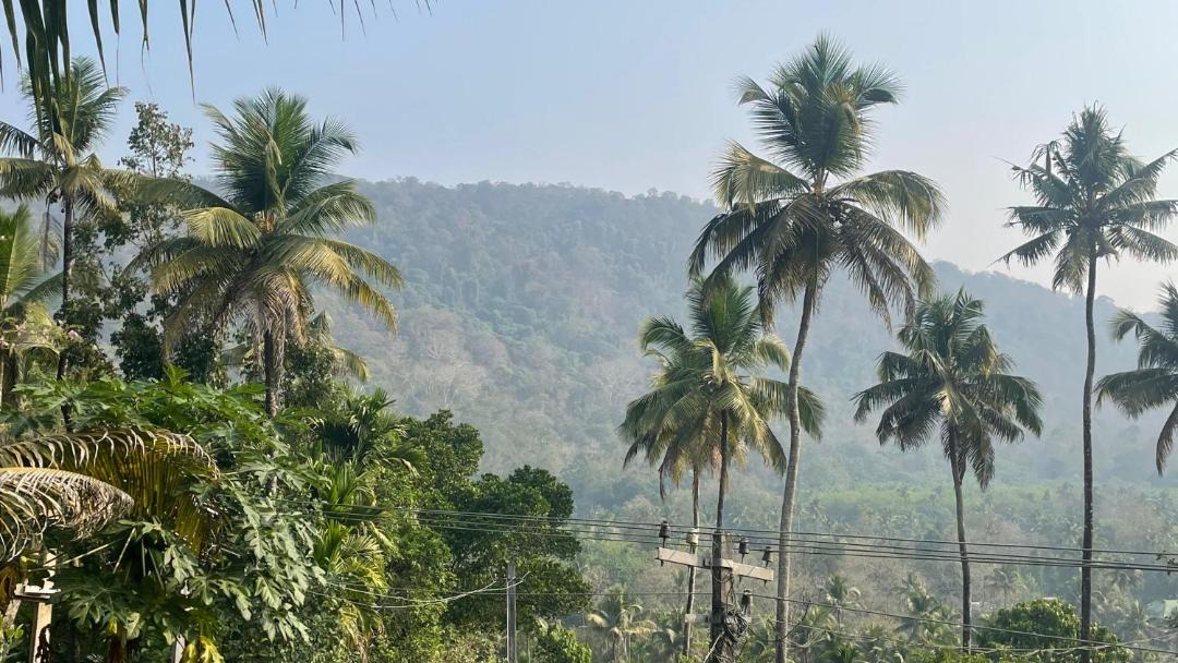 Photo of Others in Irinjalakuda