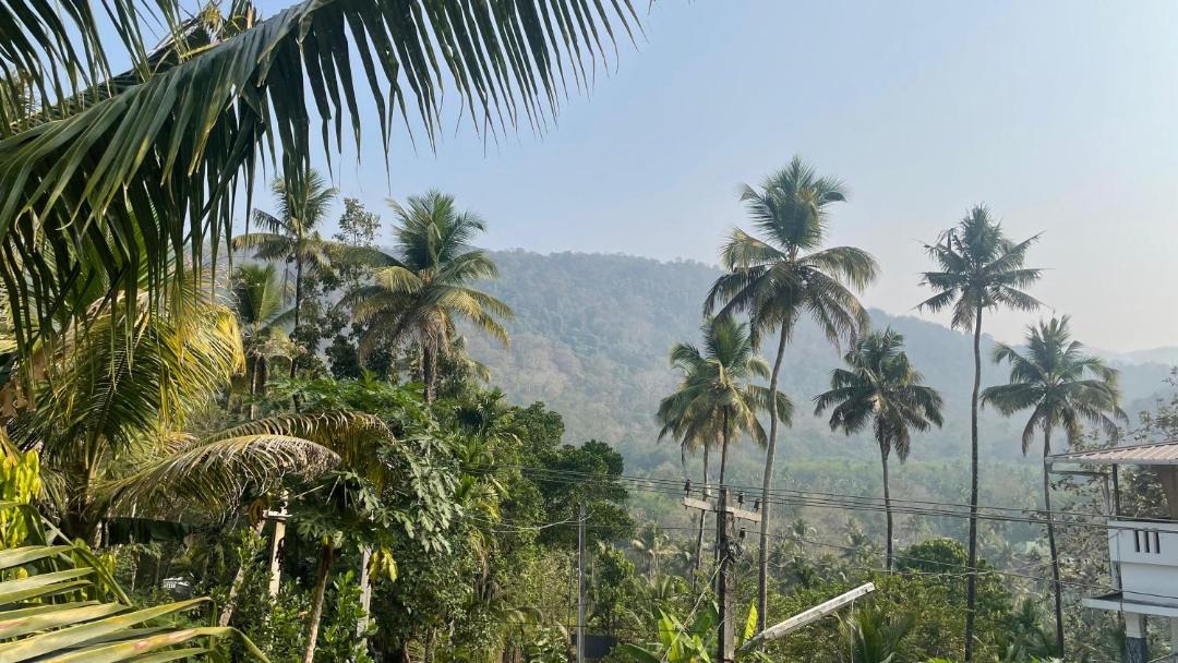 Photo of Others in Irinjalakuda