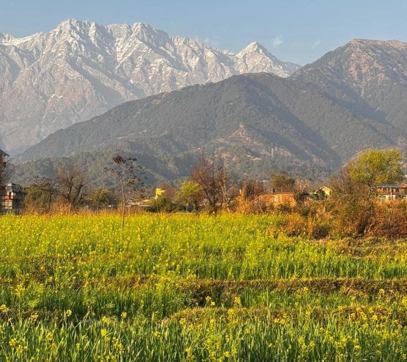 Photo of Others in Chachian