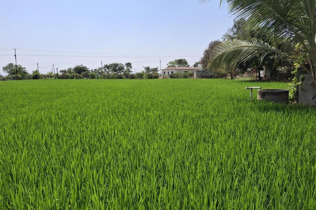 Photo of Others in Karimnagar