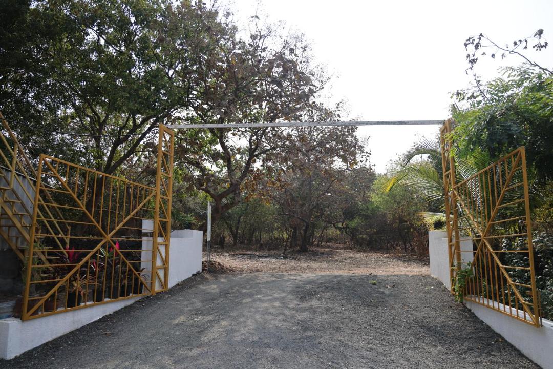 Photo of Others in Talala