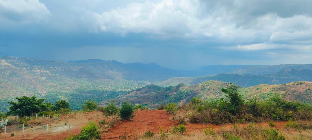Photo of Others in Mahabaleshwar