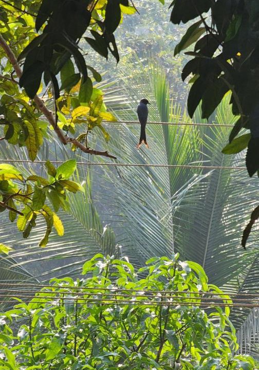 Photo of Others in Ulhasnagar